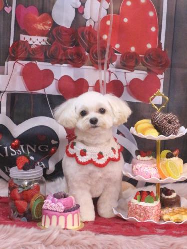 20250227みみくん